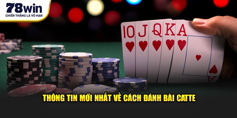 Thông tin mới nhất về cách đánh bài Catte